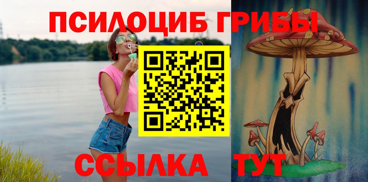 Галлюциногенные грибы MAGIC MUSHROOMS Знаменск