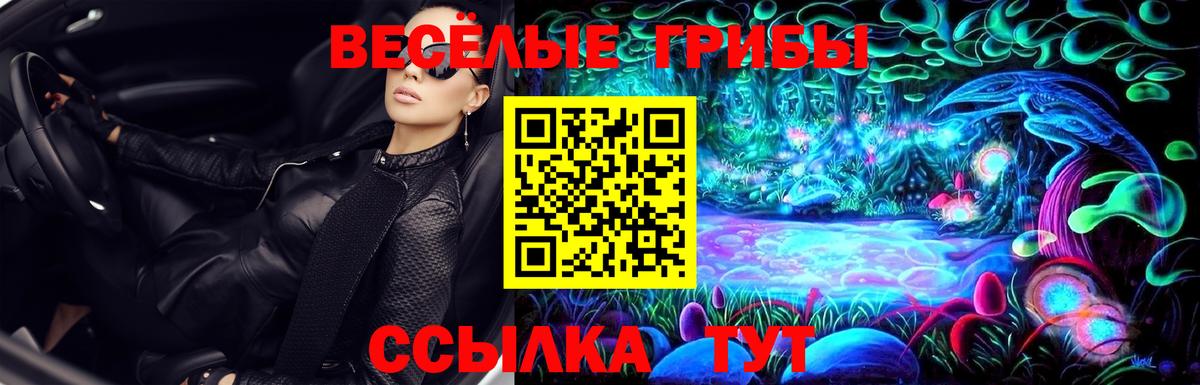 Знаменск  Псилоцибиновые грибы мухоморы  Вход с VPN 