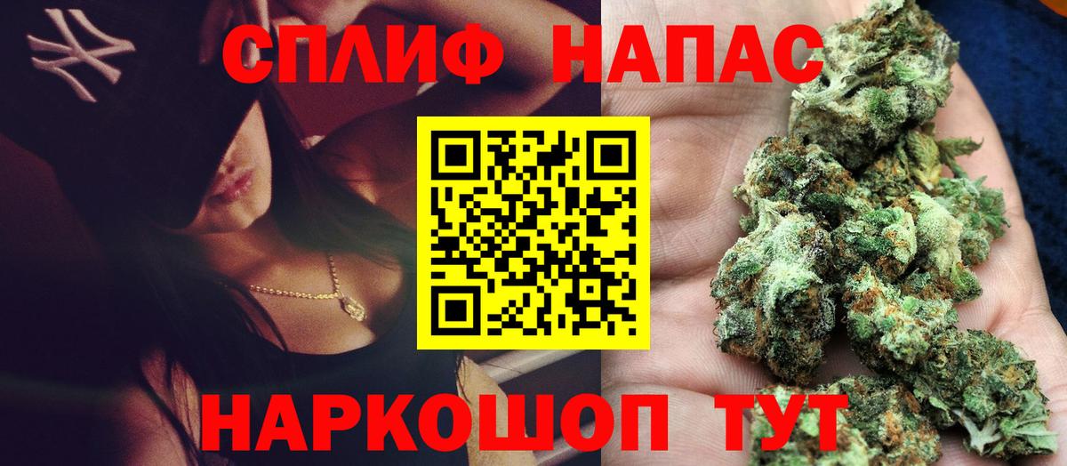 Бошки Шишки конопля Знаменск